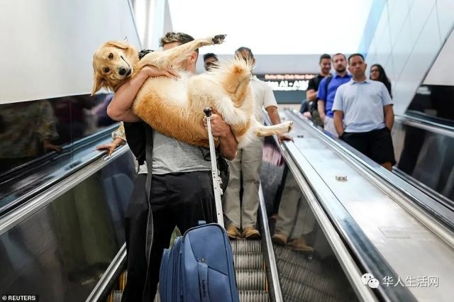 美國慶節旅行創紀錄！超賣機票，達美送,000求旅客下飛機