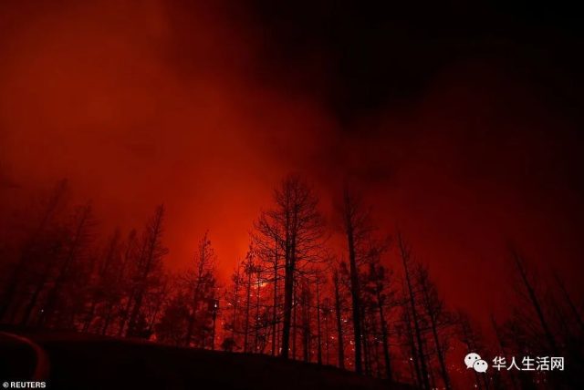 114°F！加州爆了！9月罕见极端高温，千万人受灾，做好大停电准备