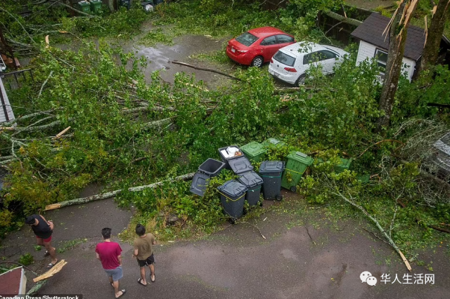 啟動國民警衛隊！佛州24縣進入緊急狀態，備好72小時食物和水!