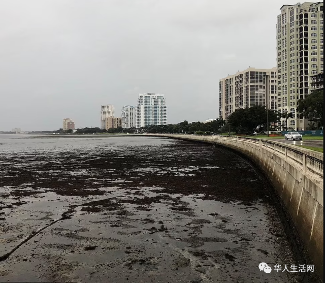 《后天》再现！佛州出现多个惊人景象！2米风暴潮横穿城市，4级飓风登陆！