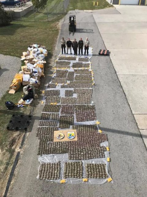 警惕! 華人團購的大閘蟹竟違法 小心坐牢! 邊境繳獲15000隻活蟹 留學生靠賣這個賺5萬!