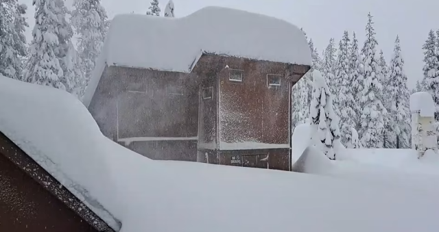 大風暴橫掃美國！雪崩，龍捲風，暴風雪，凍雨...各州迎戰極端天氣