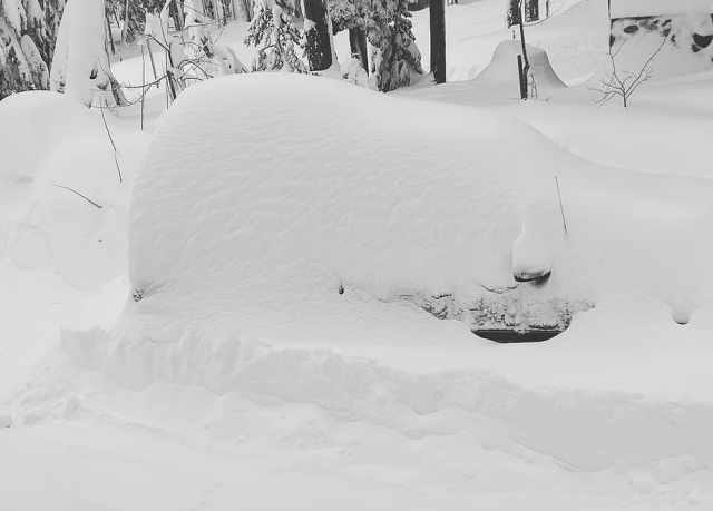 大風暴橫掃美國！雪崩，龍捲風，暴風雪，凍雨...各州迎戰極端天氣