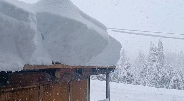 大風暴橫掃美國！雪崩，龍捲風，暴風雪，凍雨...各州迎戰極端天氣