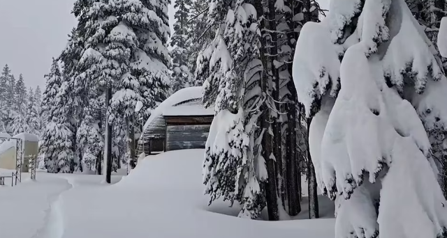 大風暴橫掃美國！雪崩，龍捲風，暴風雪，凍雨...各州迎戰極端天氣