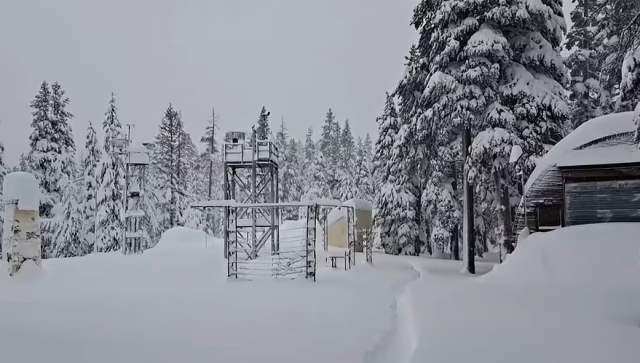 大風暴橫掃美國！雪崩，龍捲風，暴風雪，凍雨...各州迎戰極端天氣