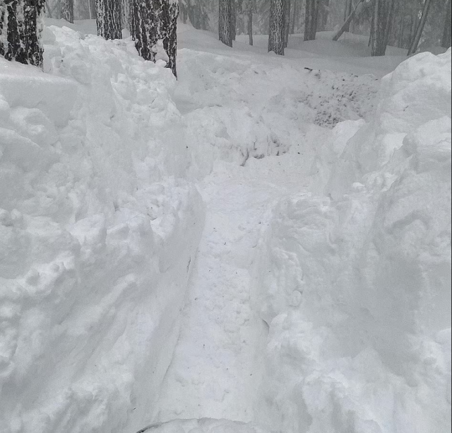 大風暴橫掃美國！雪崩，龍捲風，暴風雪，凍雨...各州迎戰極端天氣