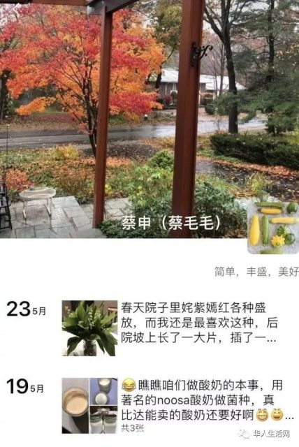 不寒而慄！北大高材生殺妻藏屍案細節，購買回國機票，淡定接受採訪！