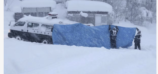 -50°C! 历史性暴风雪席卷北美! 20万人断电 上千航班取消 卡车失控! 宛如灾难片！