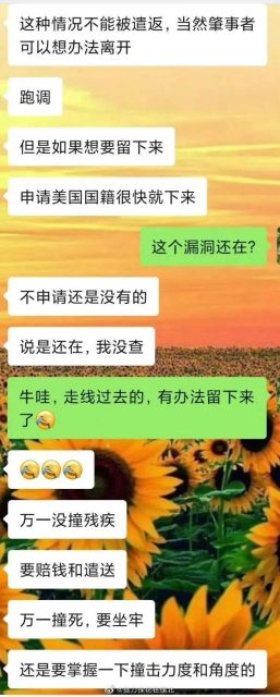 謠言！！教唆同胞撞人快速拿綠卡，已有華人被撞身亡！這種絕不可能拿卡！