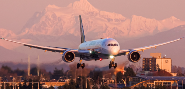 剛剛! 載471人的兩架客機相撞! 都是空客A330 機場緊急應對 華裔親歷現場!