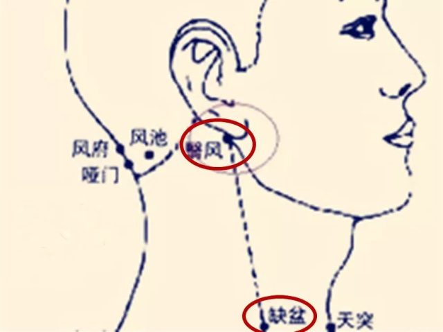 脖子上有一条大筋，捏一捏至少可调37种疾病！