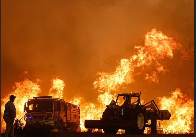 遭火焰颶風！夏威夷山火超出人類認知，1,000°F高溫，逃無可逃，死亡恐數百人！