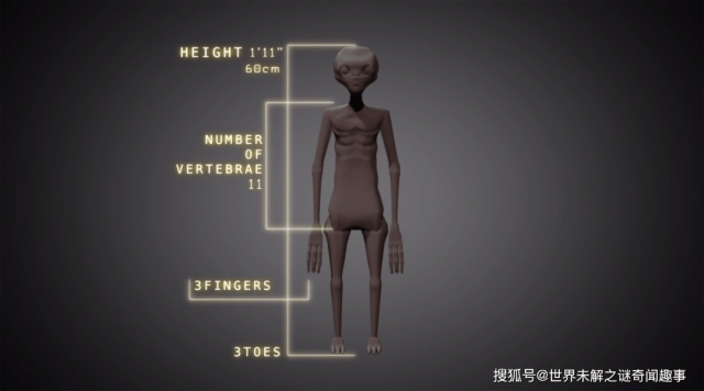 三根手指 脑袋巨大! 国会发最新外星人尸体视频 网友吵翻了! 多地上空出现不明飞行物?