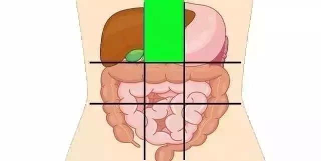 一张腹部地图，让你终身受益！