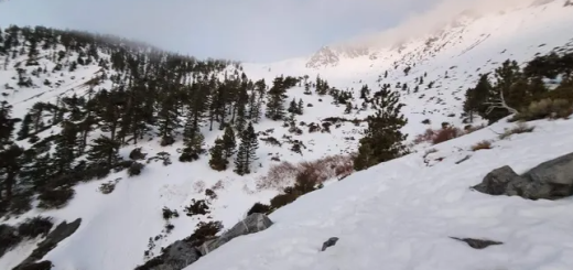 愿平安！22岁华人女子深山徒步遇大雪失踪，失联已超48小时，最后画面曝光