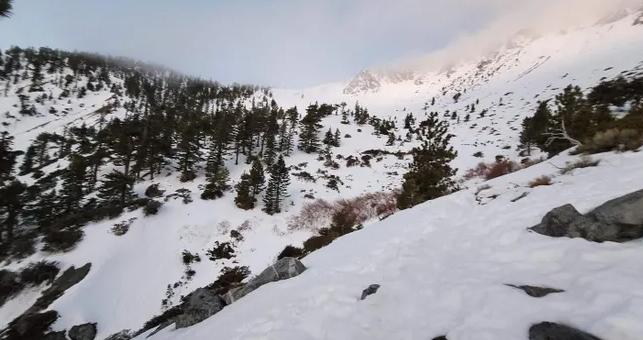 愿平安！22岁华人女子深山徒步遇大雪失踪，失联已超48小时，最后画面曝光