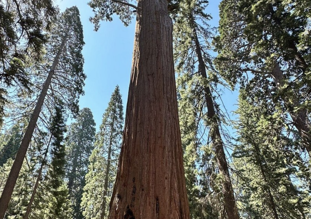 The 10 most deadly national parks in the United States!插图4 The 10 most deadly national parks in the United States!插图4